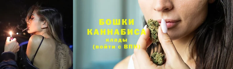 цена наркотик  Братск  Каннабис OG Kush 